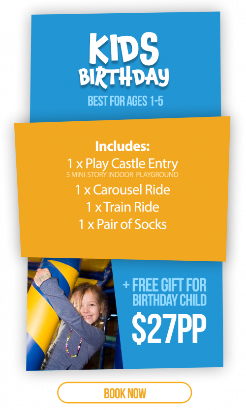 Under 5 year old birthday party package