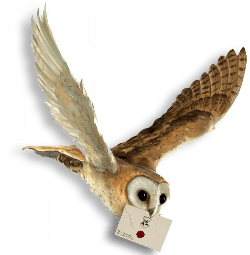 Owl with Letter - The Beachouse